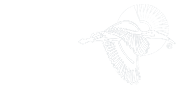 Mira Group